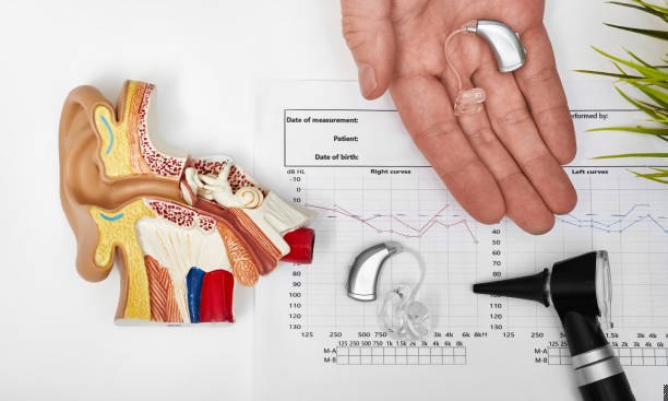 Ear anatomy model with hearing aid and audiogram during a hearing evaluation